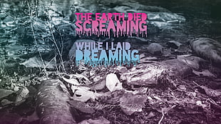 The Earth Died Screaming, Tom Waits, fish, lyrics HD wallpaper