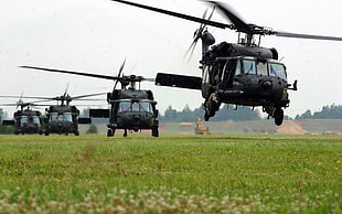 four black helicopters, Sikorsky UH-60 Black Hawk, helicopters, military aircraft HD wallpaper