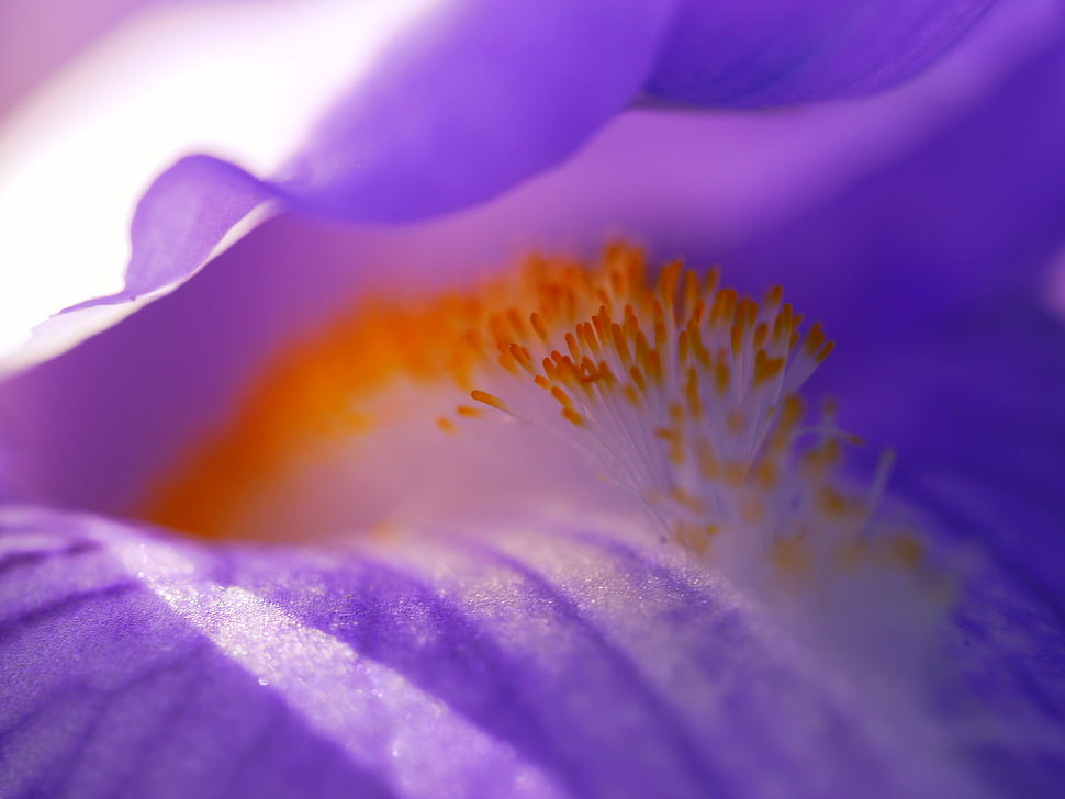 HD HD wallpaper