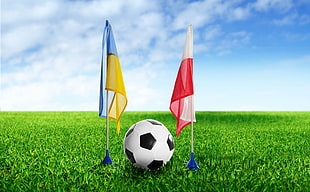 soccer ball in the middle of two flags on green grass during daytime
