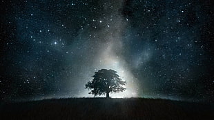 tree with galaxy digital wallpaper, stars, space, grass, hills