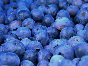 blueberries HD wallpaper
