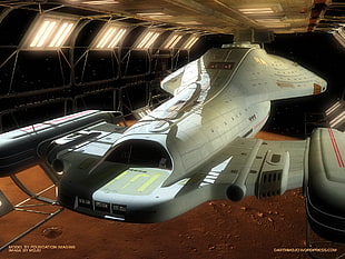 gray space ship, Star Trek, USS Voyager, Star Trek: Voyager