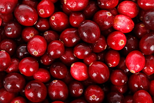 red round fruits lot HD wallpaper