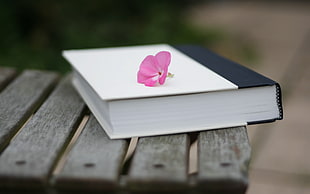 selective focus photography of pink 5-petaled flower on white and black labelled book on brown wooden table