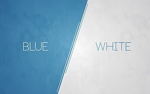 blue and white illustration