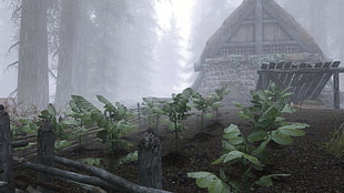 brown house, The Elder Scrolls V: Skyrim, environment, farm, mist HD wallpaper