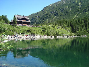 black and brown temple, lake, mountains, green, landscape