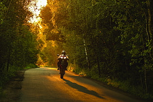 man riding on sports bike in road