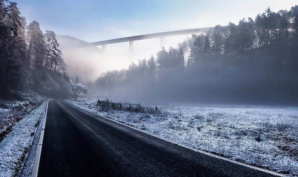 black concrete road, road, landscape, mist, winter HD wallpaper
