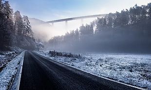black concrete road, road, landscape, mist, winter