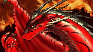 red dragon digital wallpaper, dragon, fantasy art