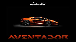 orange Lamborghini Aventador coupe, Lamborghini Aventador, orange, car, typography