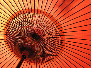 brown umbrella, nara, japan HD wallpaper