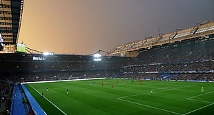 green soccer field, Chelsea FC, Soccer Field, sport , sports HD wallpaper
