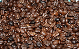 brown coffee bean lot HD wallpaper