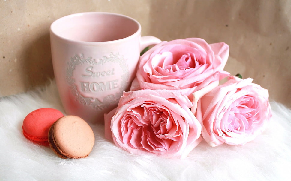 pink rose flowers beside pink ceramic mug HD wallpaper