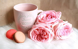 pink rose flowers beside pink ceramic mug