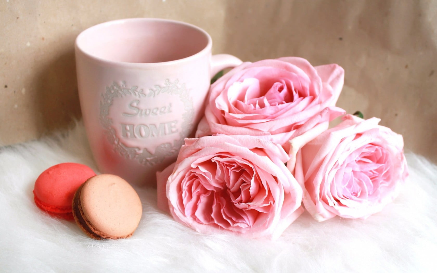 pink rose flowers beside pink ceramic mug