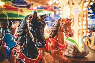 black and brown horse carousels closeup photography HD wallpaper