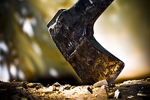 selective focus photography of wood axe
