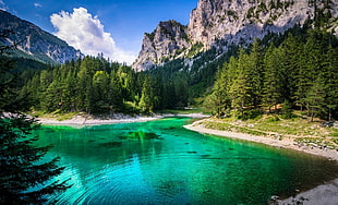 body of water, lake, forest, green, mountains