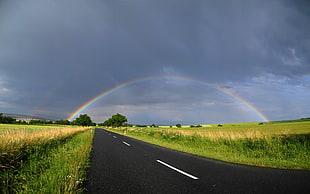 Rainbow under gray clouds during daytime HD wallpaper