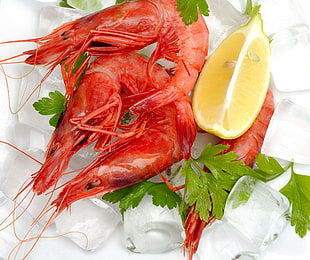 photo of cooked shrimp with sliced lime