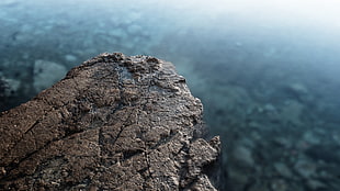 shallow focus photography of grey cliff, depth of field, rock, water, nature
