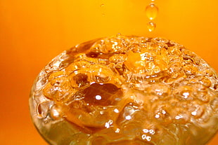 microshot photography of water drop HD wallpaper