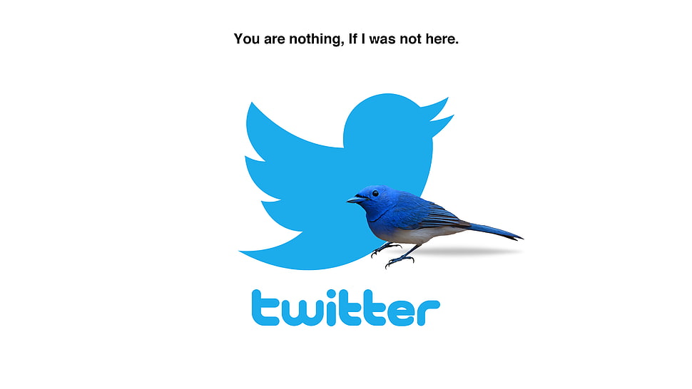 Twitter logo HD wallpaper