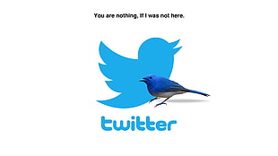 Twitter logo