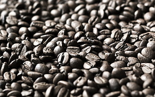 coffee beans, depth of field, macro, coffee beans, food HD wallpaper