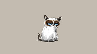 brown and white cat illustration, cat, Grumpy Cat, minimalism