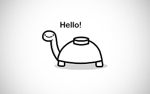 turtle hello! sketch, turtle, humor, minimalism, simple background HD wallpaper
