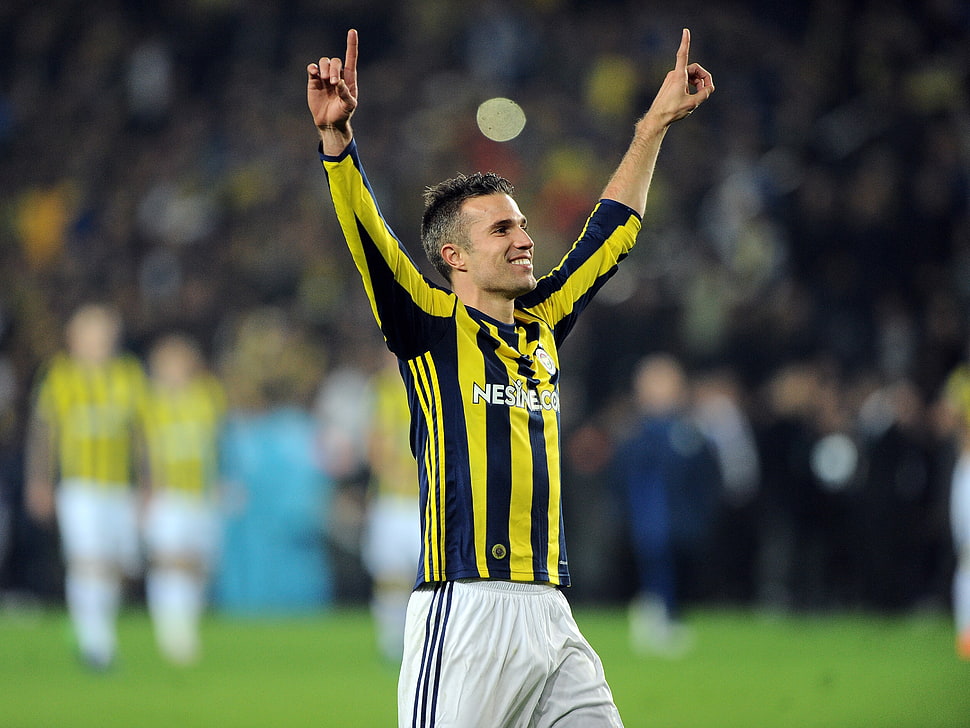 men's yellow and blue striped jersey shirt, Robin van Persie, Fenerbahçe, soccer, men HD wallpaper
