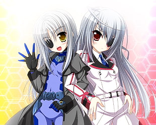 twin grey hair female anime characters HD wallpaper