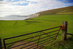 green grass field, landscape, sky, fence, cliff