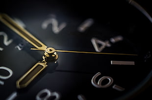 wristwatch, time, watch, clock