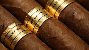 Habana cigars HD wallpaper