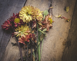 yellow, maroon, and green flowers