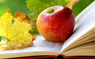 red apple on white book page HD wallpaper