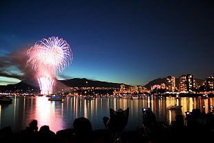 fireworks during dusk, vancouver, canada HD wallpaper