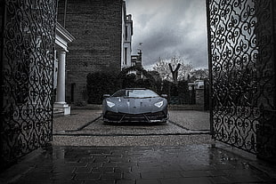 gray Lamborghini Aventador