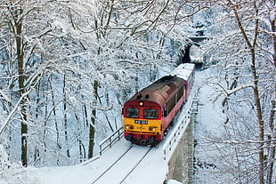 red and yellow train, train, winter