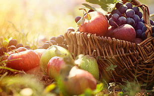 apples and grapes in basket near green pears