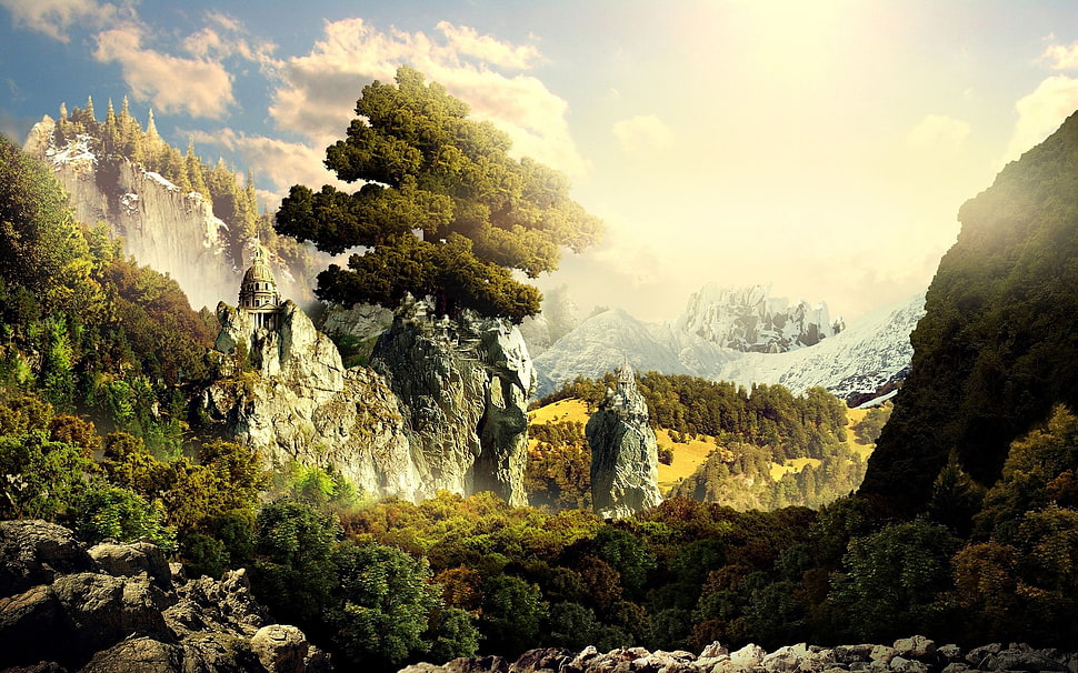 tree on white mountain artwork, landscape, forest, mountains, trees HD wallpaper