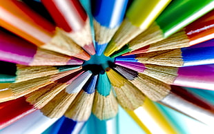 close up photography of colored pencils in circle