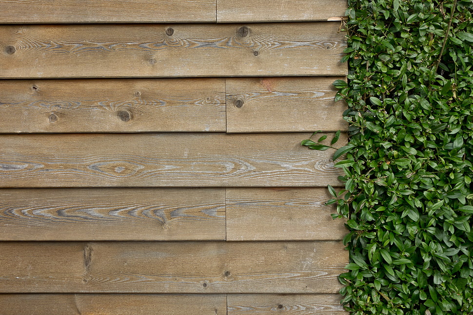 white wood parquet board HD wallpaper