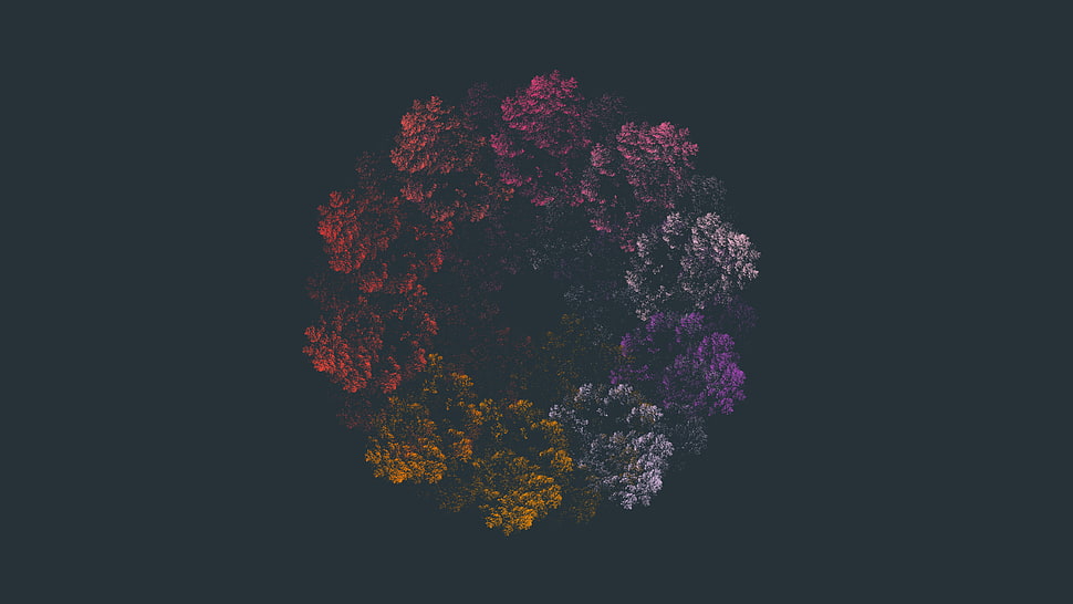 assorted-color floral wreath, mathematics, geometry, simple,  grey HD wallpaper